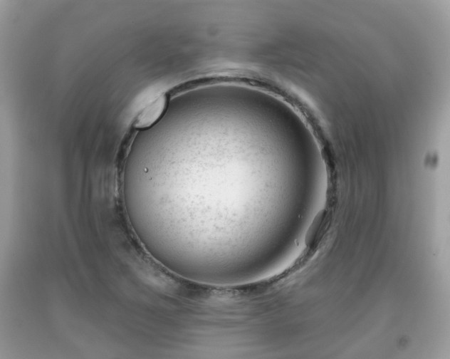 X0000091991267200709131446