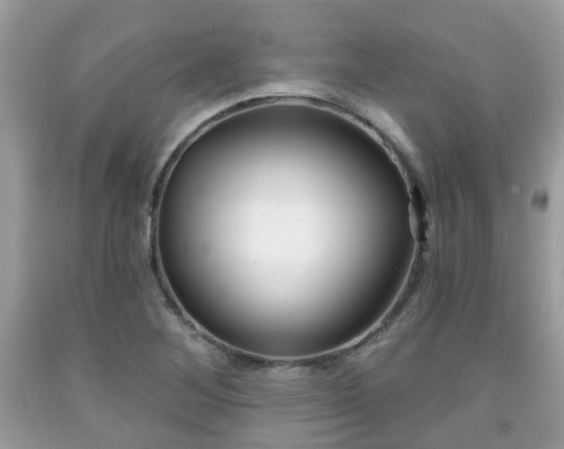 X0000091991268200709131446