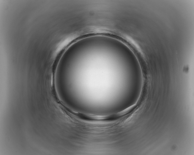 X0000091991269200709131446