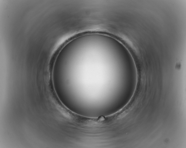 X0000091991270200709131446