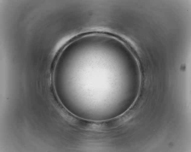 X0000091991271200709131446
