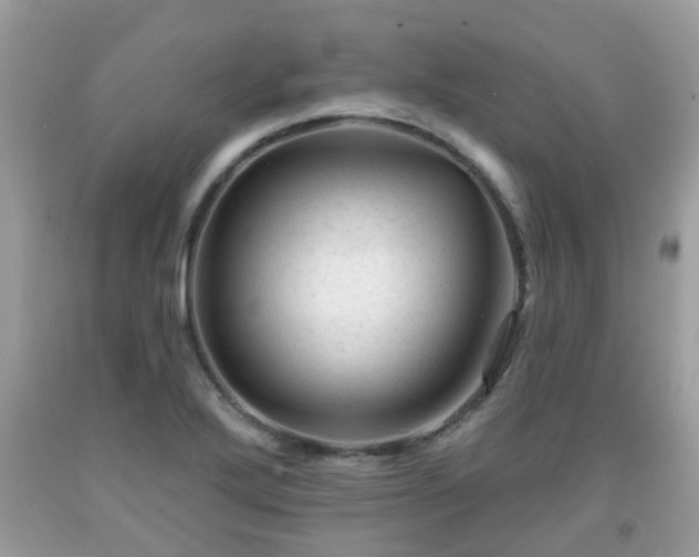 X0000091991272200709131446