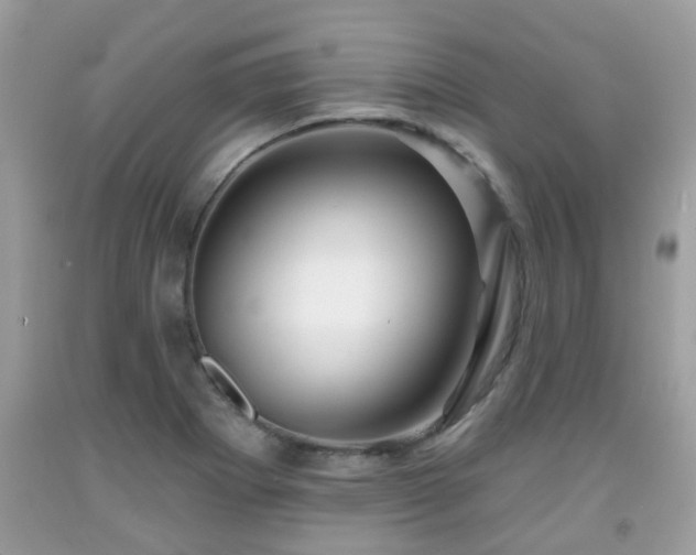 X0000091991273200709131446