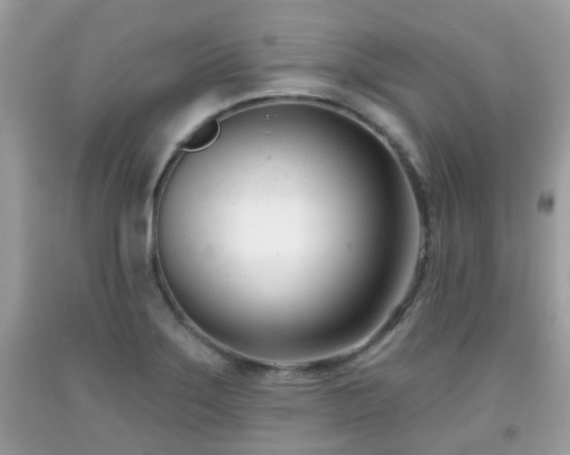 X0000091991275200709131446