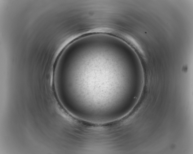 X0000091991276200709131446