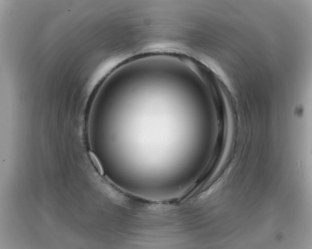 X0000091991277200709131446