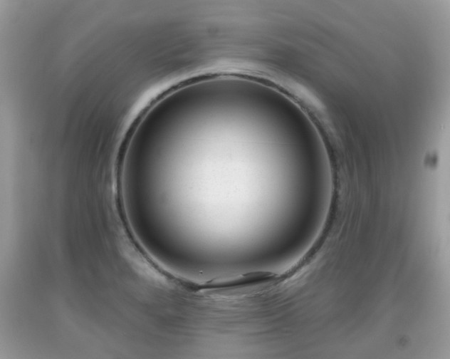 X0000091991280200709131446