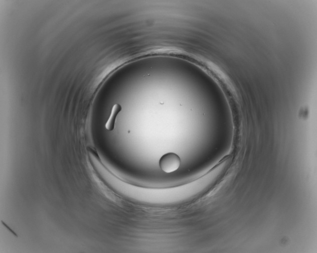 X0000091991281200709131446