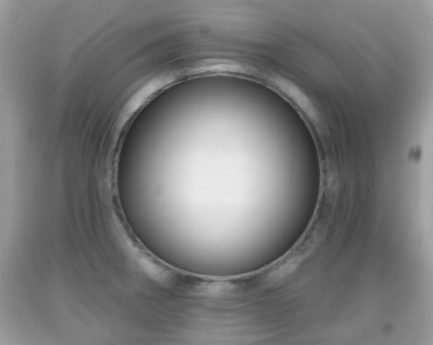 X0000091991282200709131446