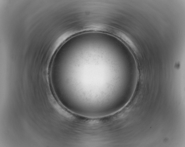 X0000091991283200709131446