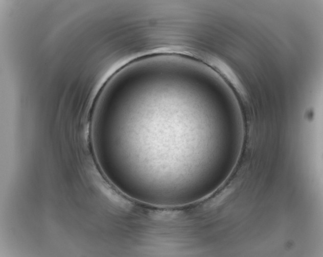 X0000091991284200709131446