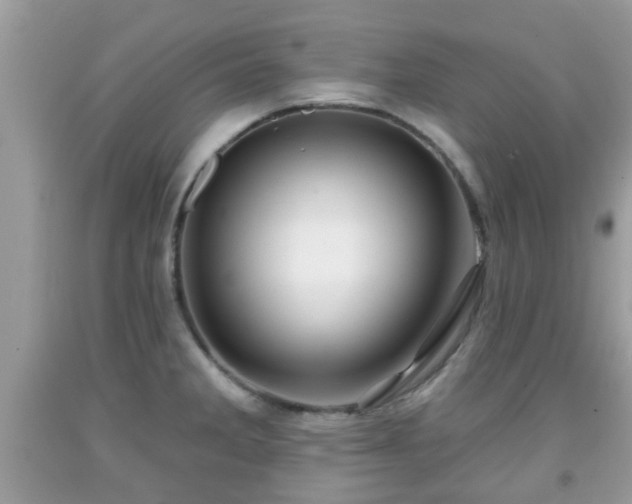 X0000091991285200709131446