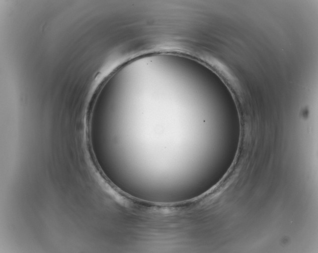 X0000091991286200709131446