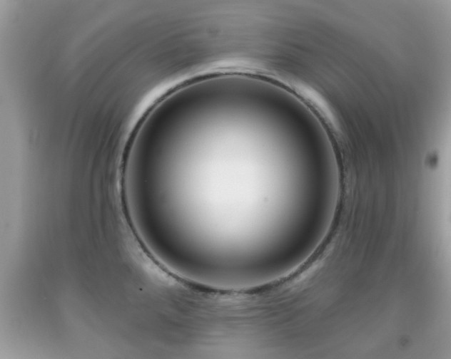 X0000091991288200709131446