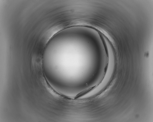 X0000091991289200709131446