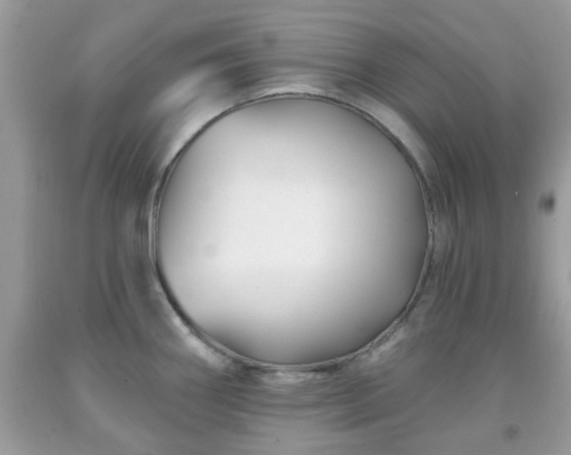 X0000091991290200709131446