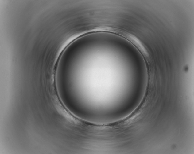 X0000091991292200709131446