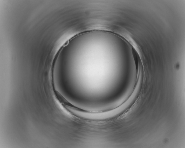 X0000091991293200709131446