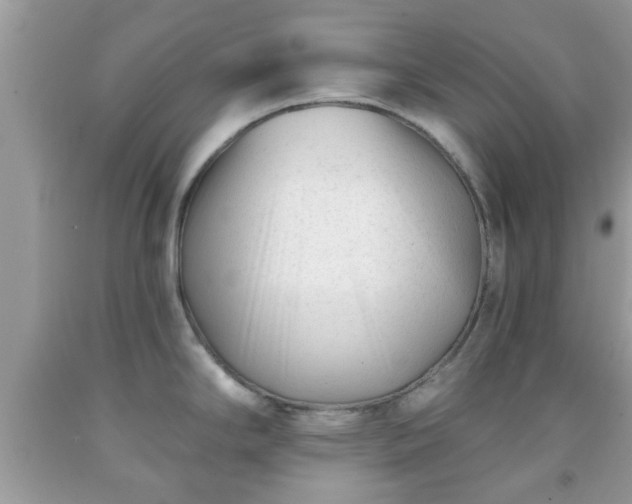 X0000091991294200709131446