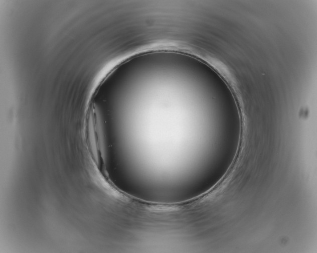 X0000091991296200709131446