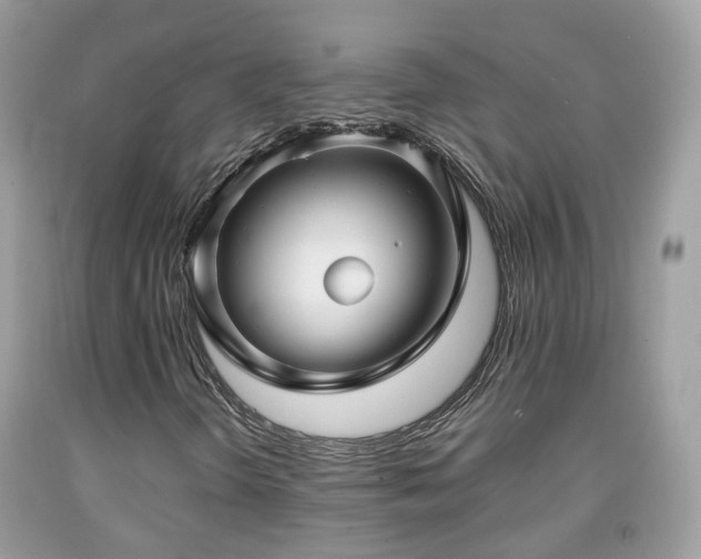 X0000091991298200709131445