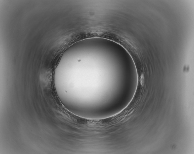 X0000091991299200709131445