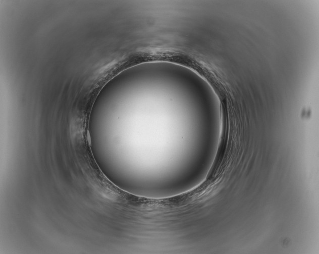 X0000091991300200709131445