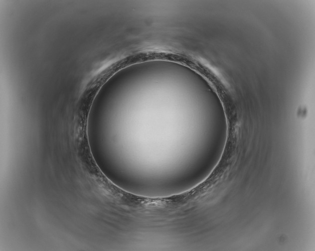 X0000091991303200709131445