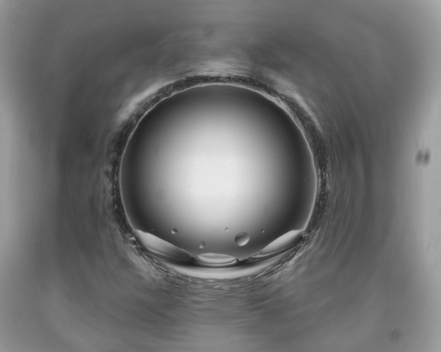 X0000091991304200709131445
