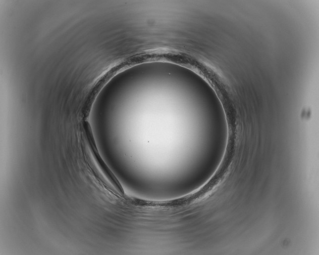 X0000091991305200709131445