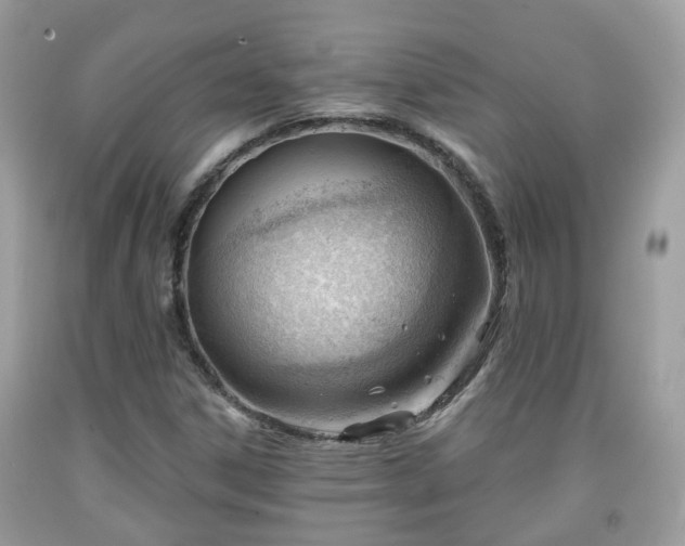X0000091991306200709131445