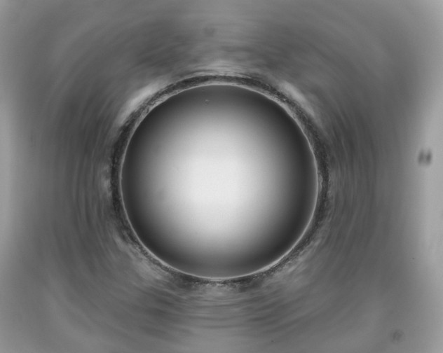X0000091991307200709131445