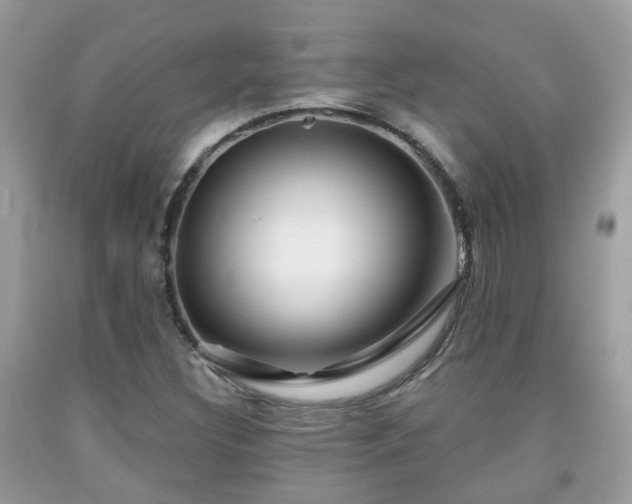 X0000091991308200709131445