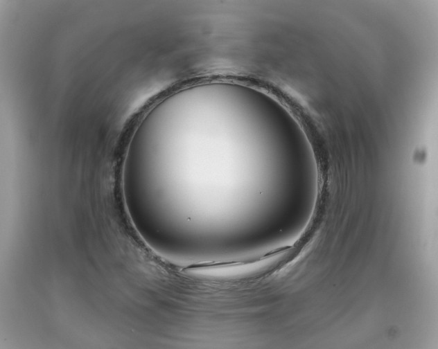 X0000091991309200709131445
