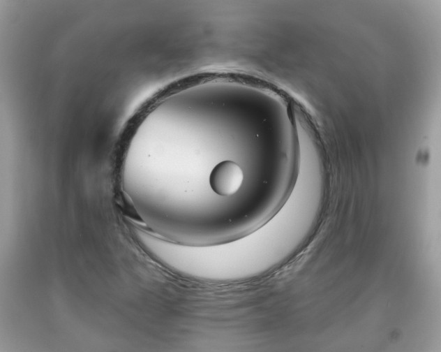 X0000091991311200709131445