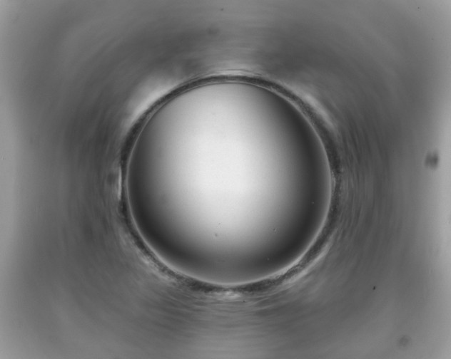 X0000091991317200709131445