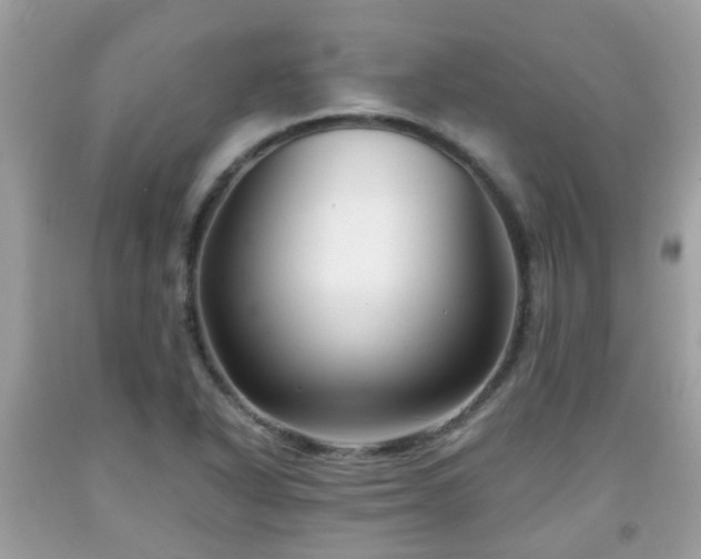 X0000091991318200709131445