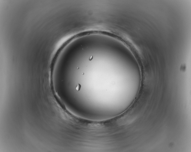 X0000091991320200709131445