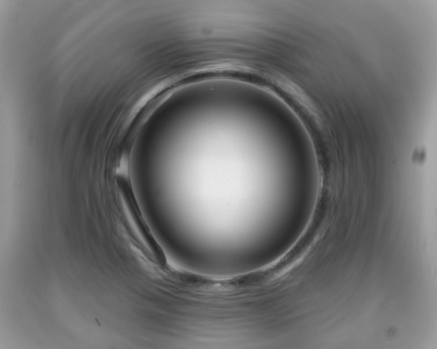 X0000091991321200709131445