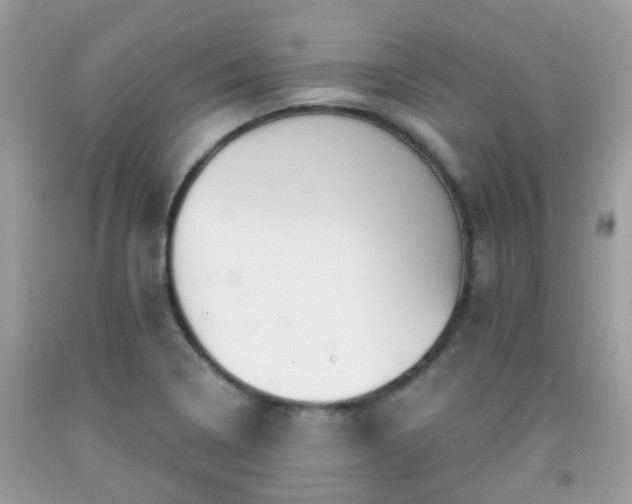 X0000091991322200709131445