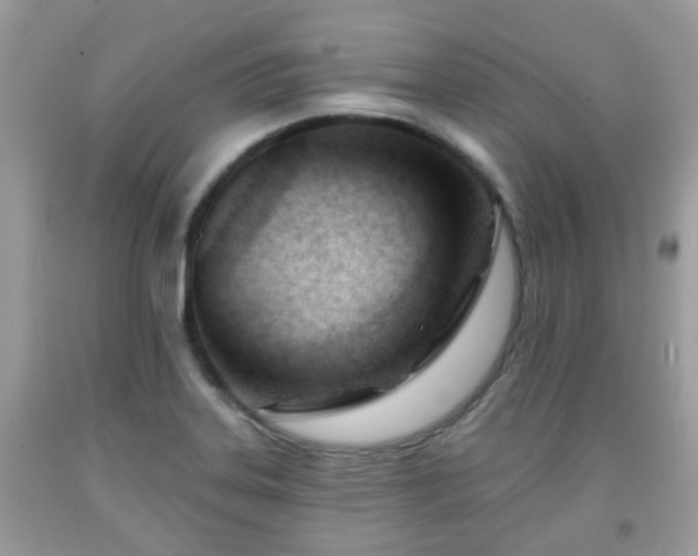 X0000091991323200709131445