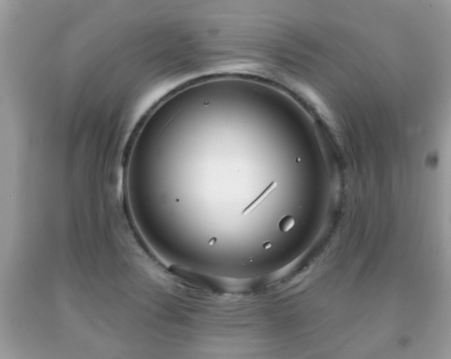 X0000091991324200709131445