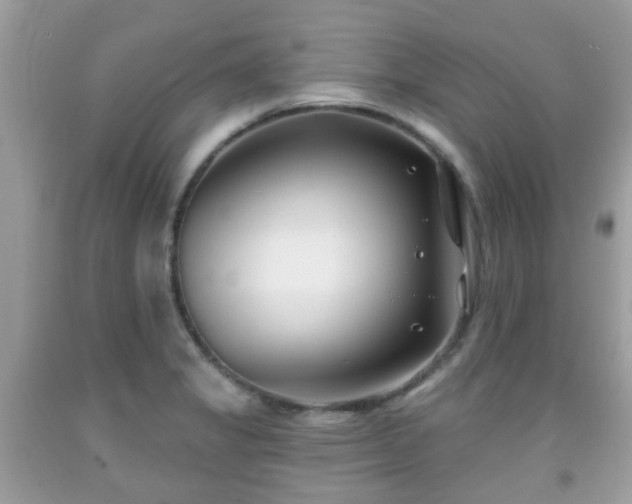X0000091991325200709131445