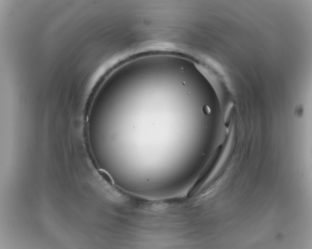 X0000091991326200709131445