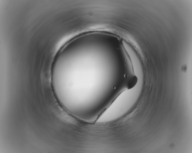 X0000091991328200709131445
