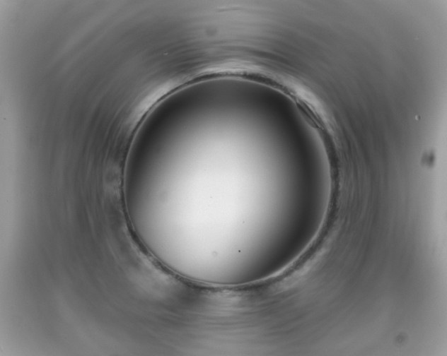 X0000091991329200709131445