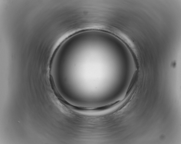 X0000091991332200709131445