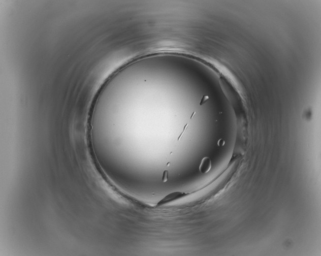 X0000091991333200709131445