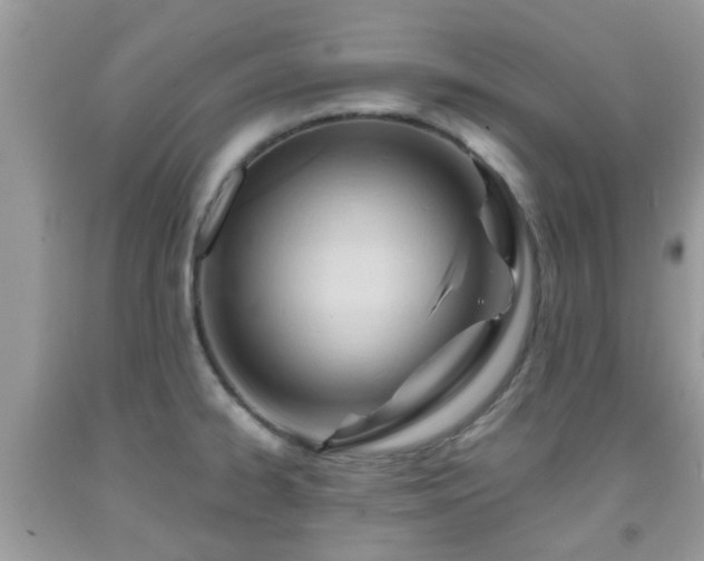 X0000091991334200709131445