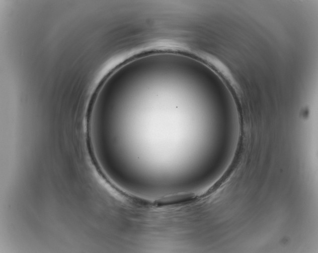 X0000091991335200709131446